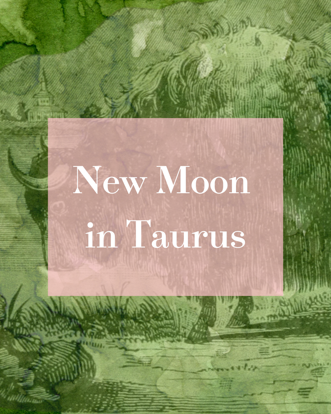 🌚 Are you ready to cultivate your soul purpose? ✨